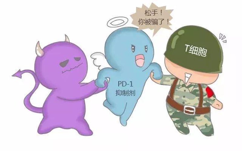 上海肿瘤医院选择指南：如何找到最适合您的医疗服务？