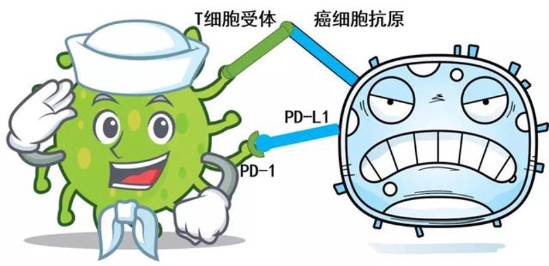 肿瘤治疗：新趋势与挑战