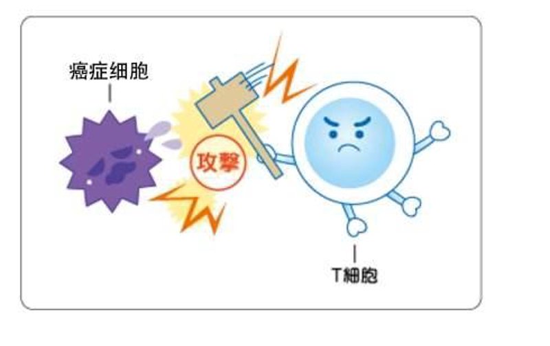 如何挑选合适的肿瘤专家：一份选购指南
