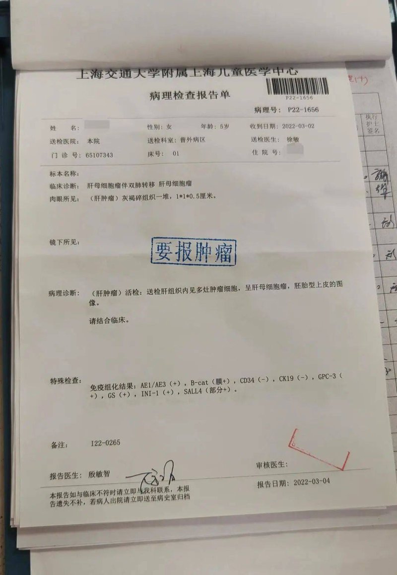 肿瘤专科医院：现代医疗领域的新风向